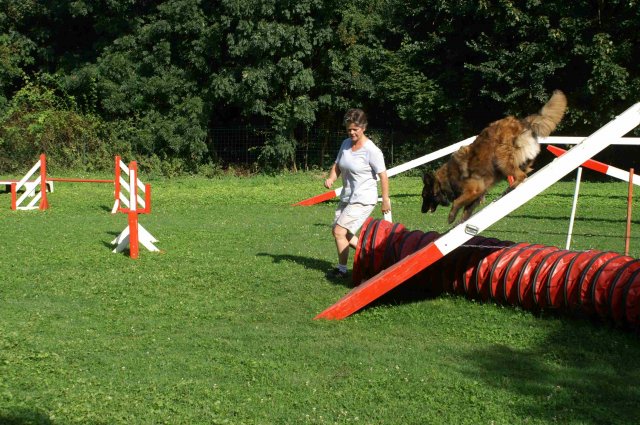 agility 2011-08